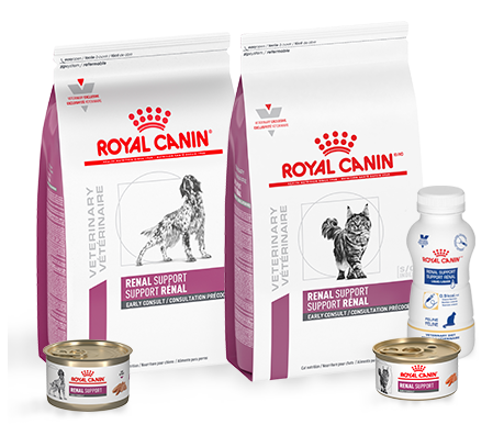 Royal Canin | Vital Support